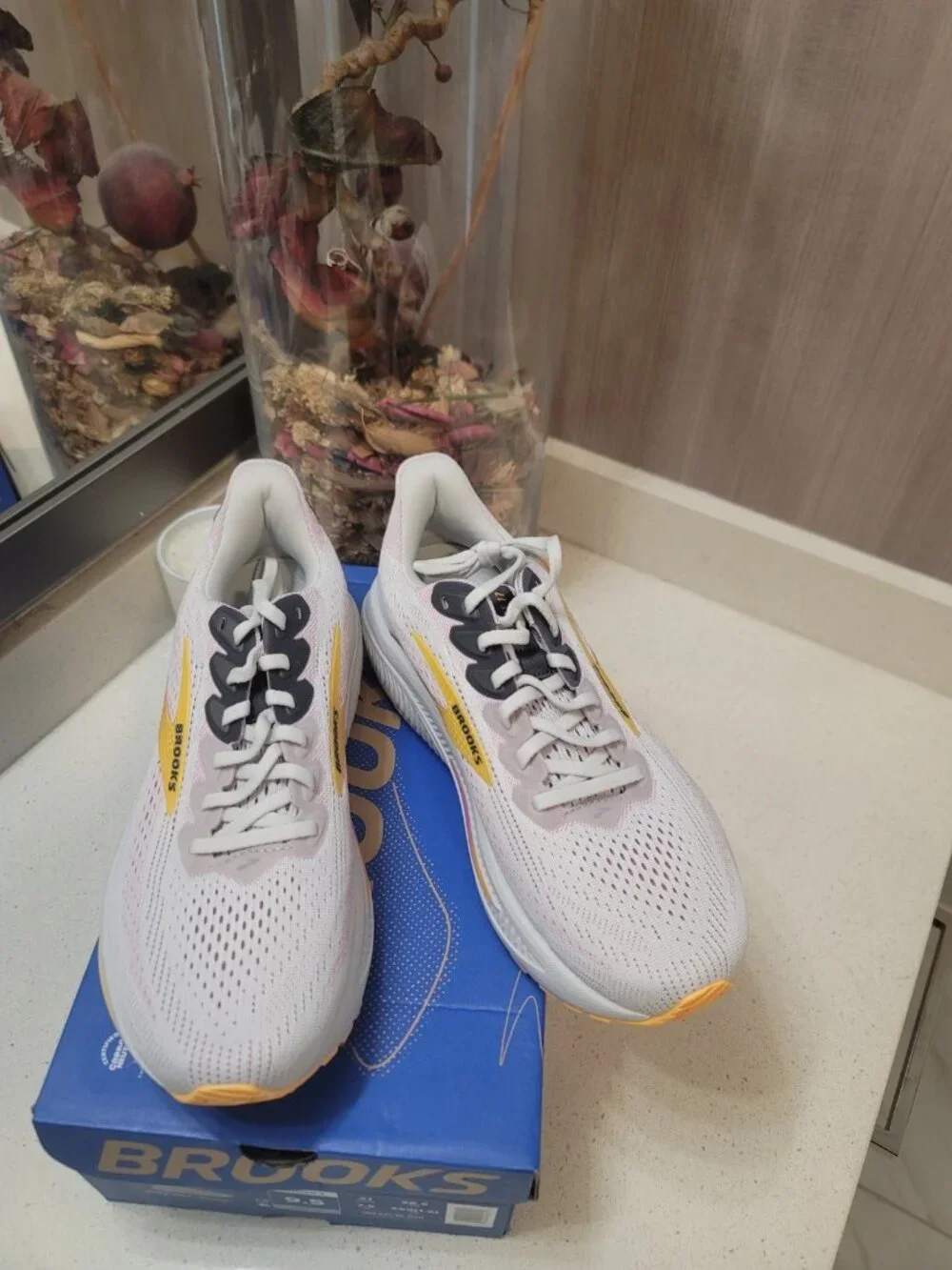 Brooks title ghost